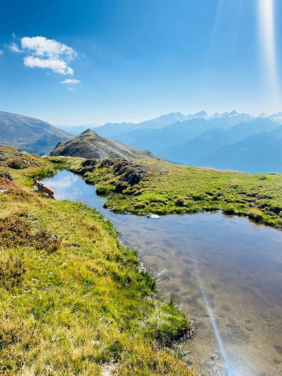 Appartement Mountain & Fun Saalbach-Hinterglemm Bagian luar foto